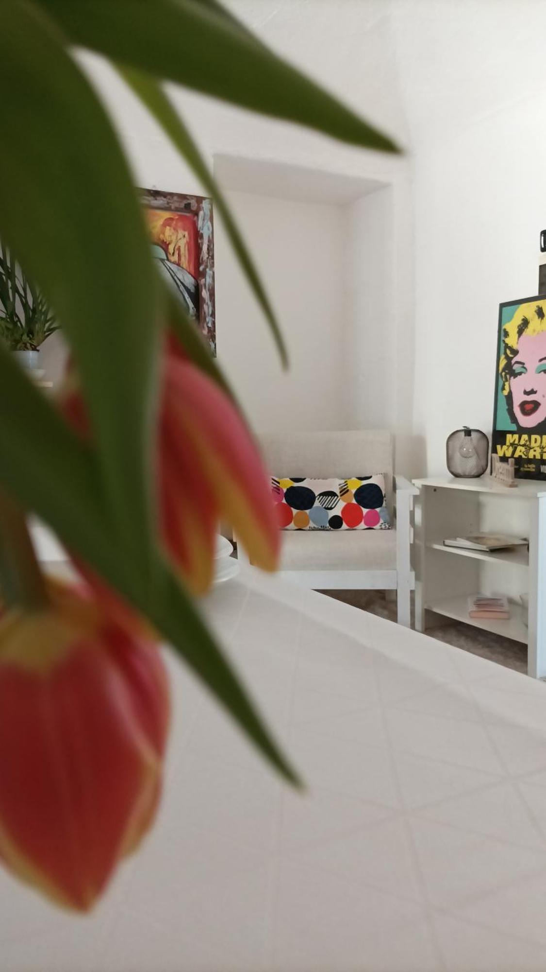 Quick Home - Interno 45 Biella Rom bilde